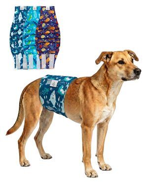 CuteBone Male Dog Belly Bands  3-Pack Ocean Shark Whale Diaper Wraps - New